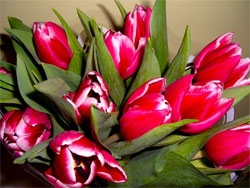 � ���������� �����!